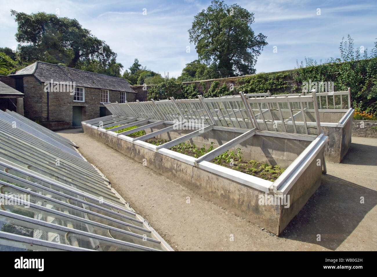 Greenhouses at he Lost Gardens of Heligan, Pentewan, Cornwall. Tended by hand to preserve the