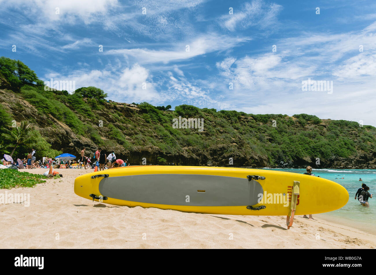 Surf vector hi-res stock photography and images - Alamy