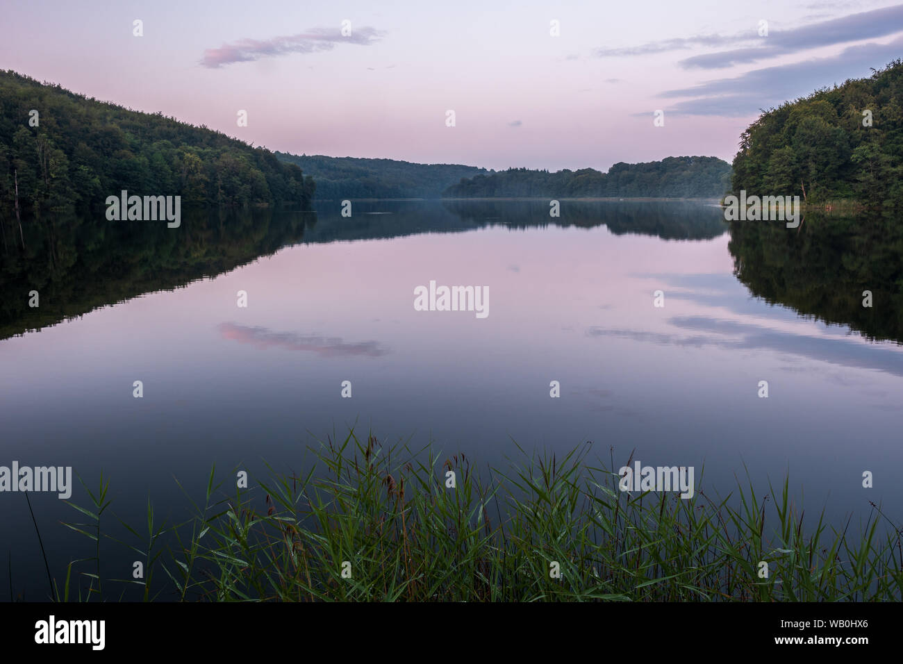 Peaceful evening at the lake Ukleisee in the middle of forest with reed in foreground, Eutin, Schleswig-Holstein Stock Photo