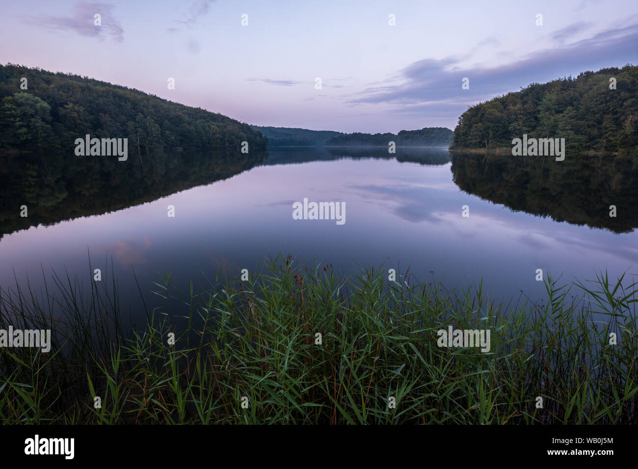 Peaceful evening at the lake Ukleisee in the middle of forest with reed in foreground, Eutin, Schleswig-Holstein Stock Photo