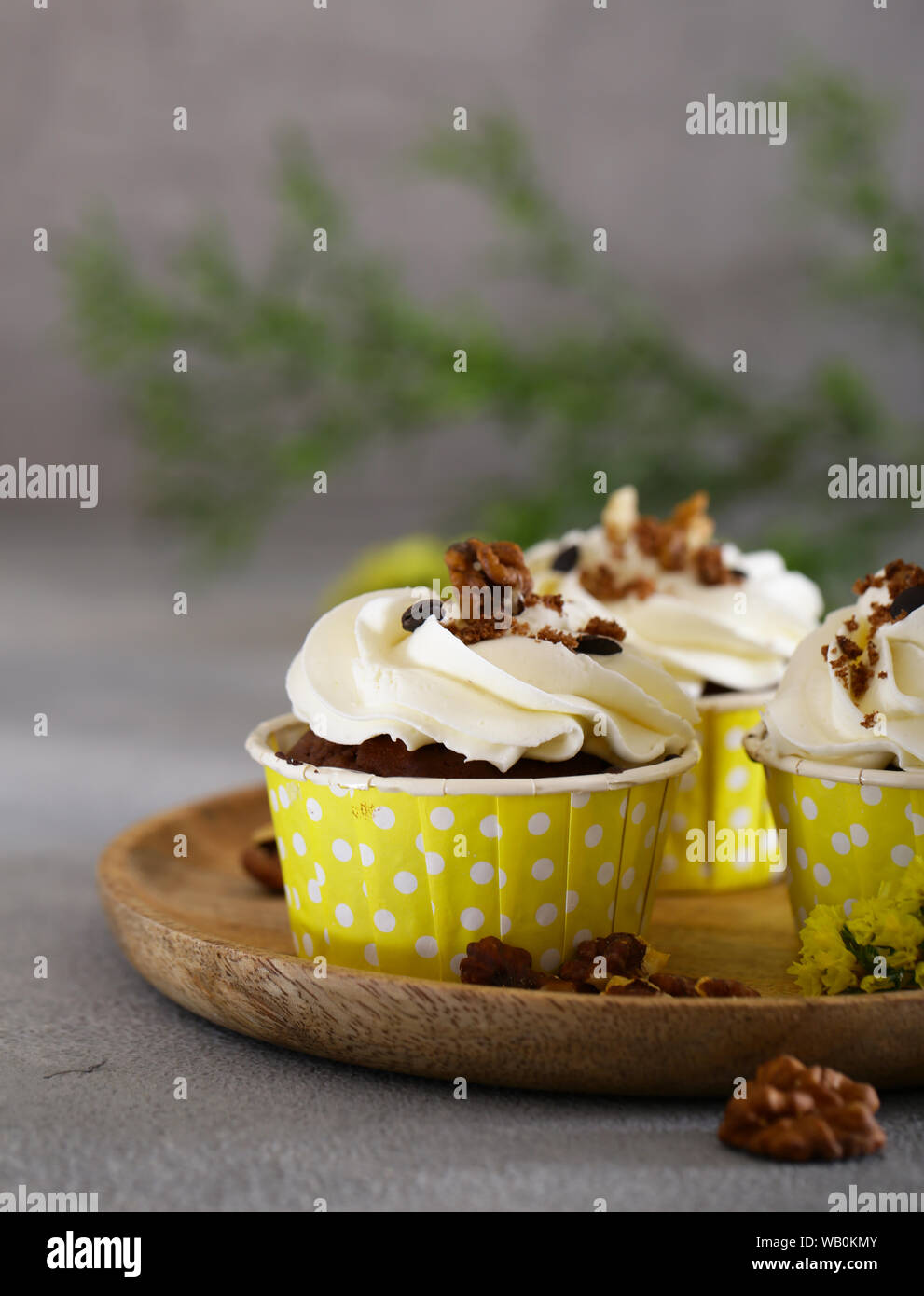 cream cupcakes with walnuts for dessert Stock Photo
