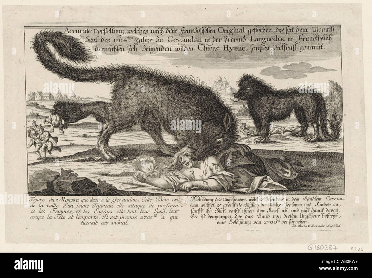 The Beast of Gévaudan (1764–1767 Stock Photo - Alamy