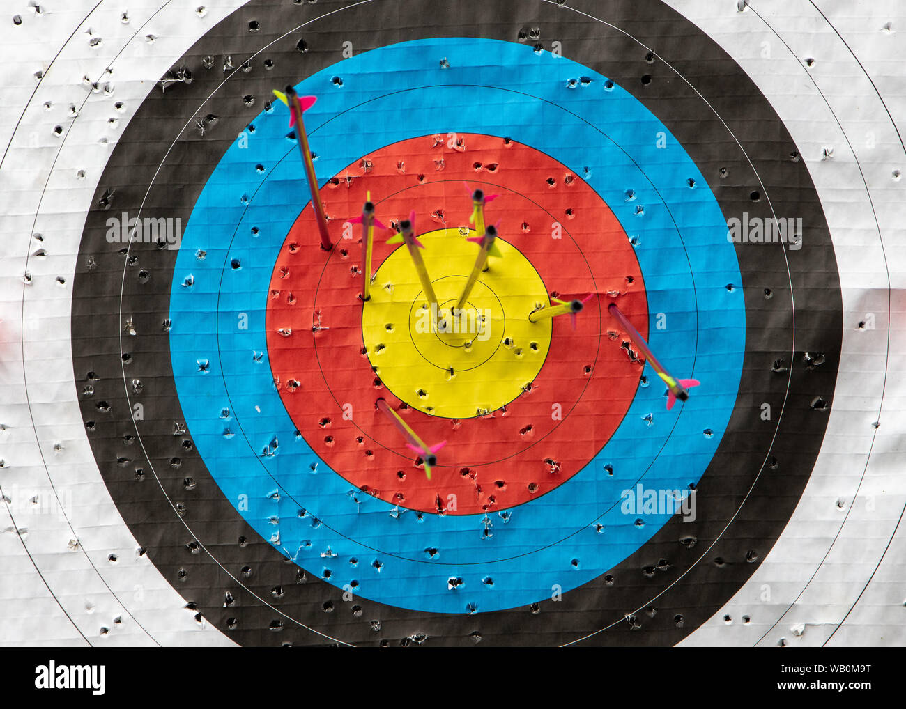 Detail of an archery target with 6 arrows inside the target and may holes. Concept of archery sport or achieving a targer. Stock Photo