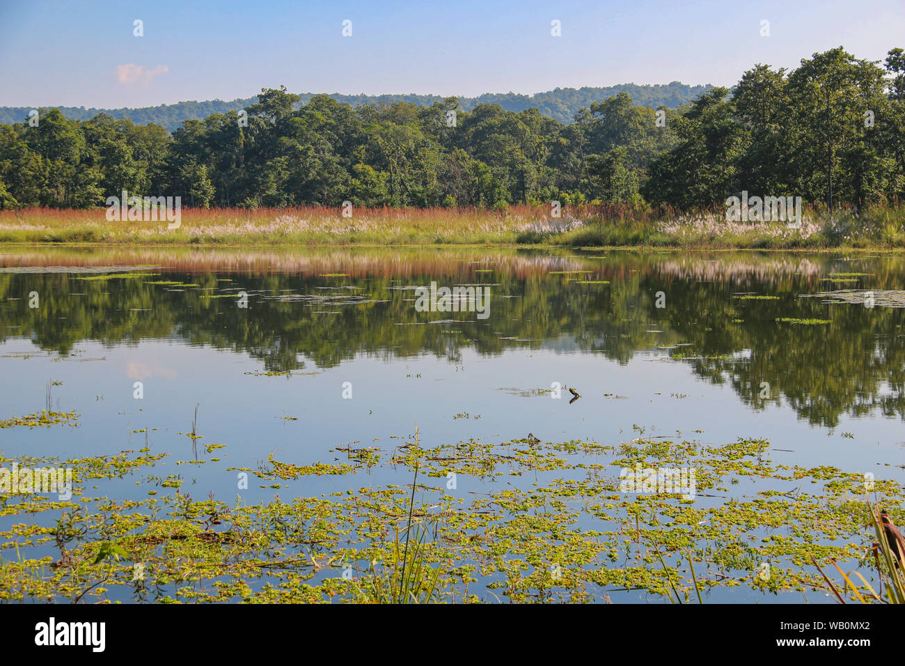 Rapti river chitwan national park hires stock photography and images