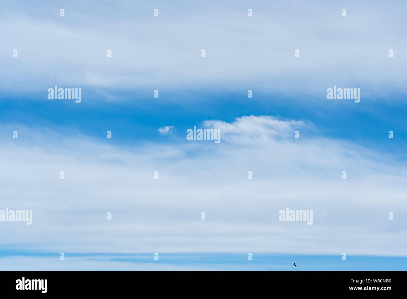 Blue Sky and clouds background; nature background Stock Photo - Alamy