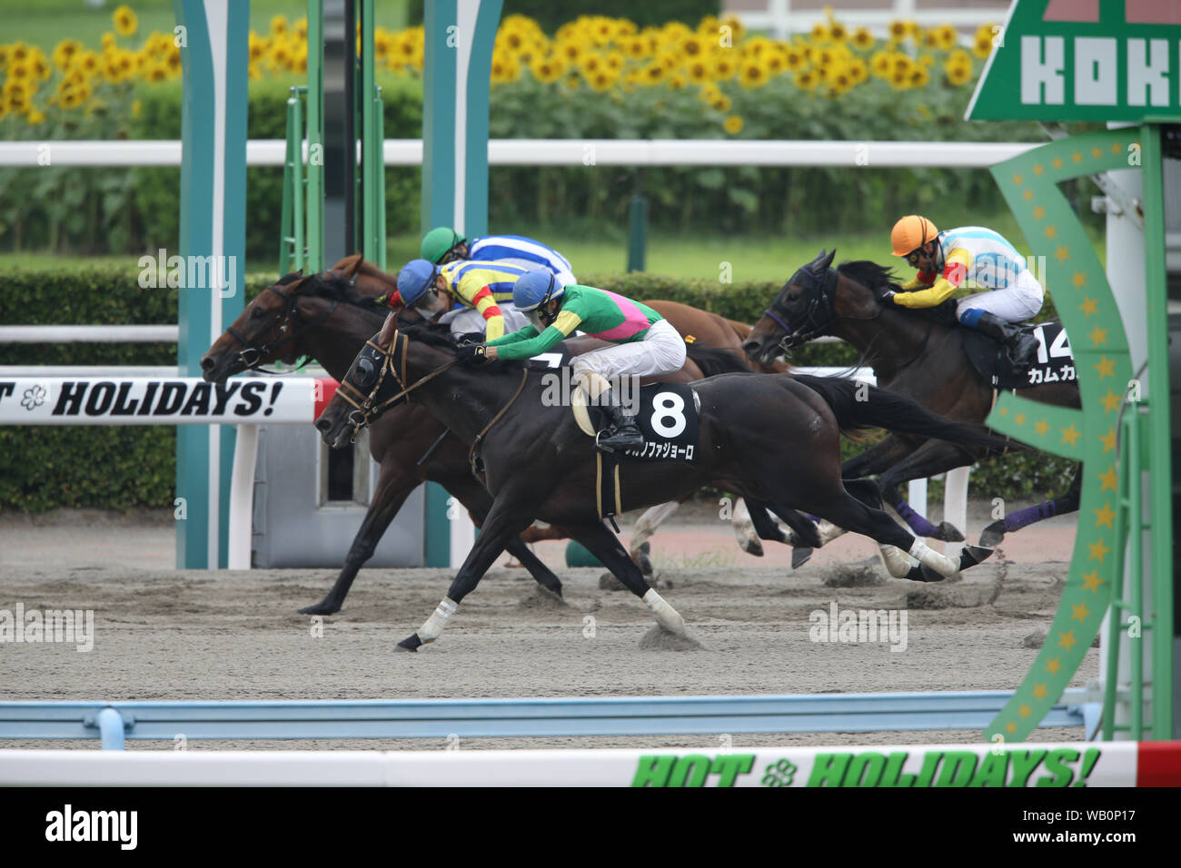 Fukuoka, Japan. 18th Aug, 2019. (L-R) Gempachi Lucifer (Yuji Nakai), Gold Lagoon (Kohei Matsuyama), Tagano Fagiolo (Ryota Sameshima), Come Come (Yoshitsugu Okada) Horse Racing : Tagano Fagiolo ridden by Ryota Sameshima wins the Kokura 9R Amakusa Tokubetsu at Kokura Racecourse in Fukuoka, Japan . Credit: Eiichi Yamane/AFLO/Alamy Live News Stock Photo