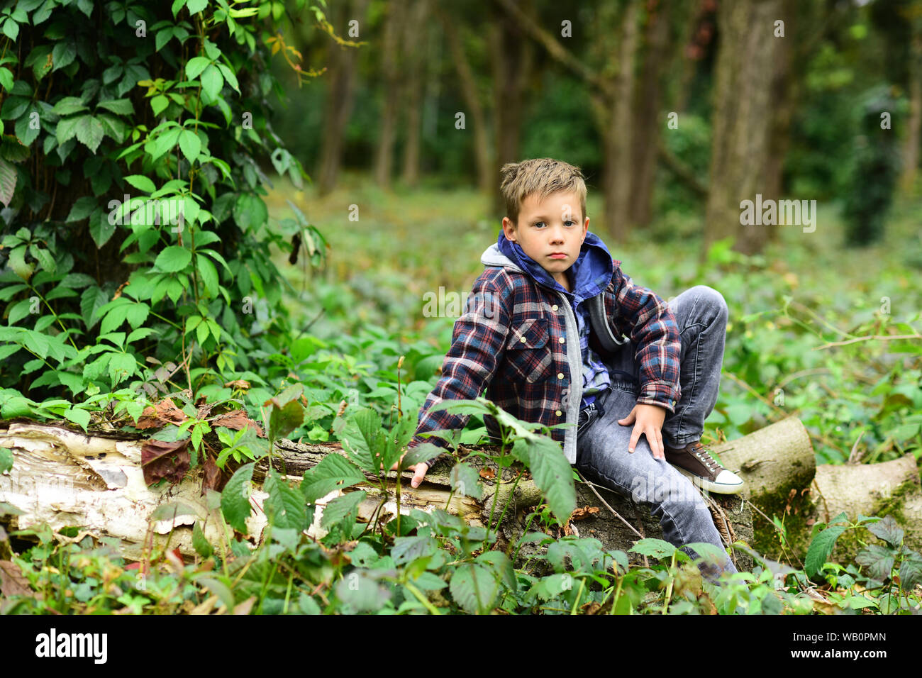 Человек и природа рисунок. Мальчик в лесу. Мальчик оставленный в лесу. В лесу. Испуганный мальчик в лесу.