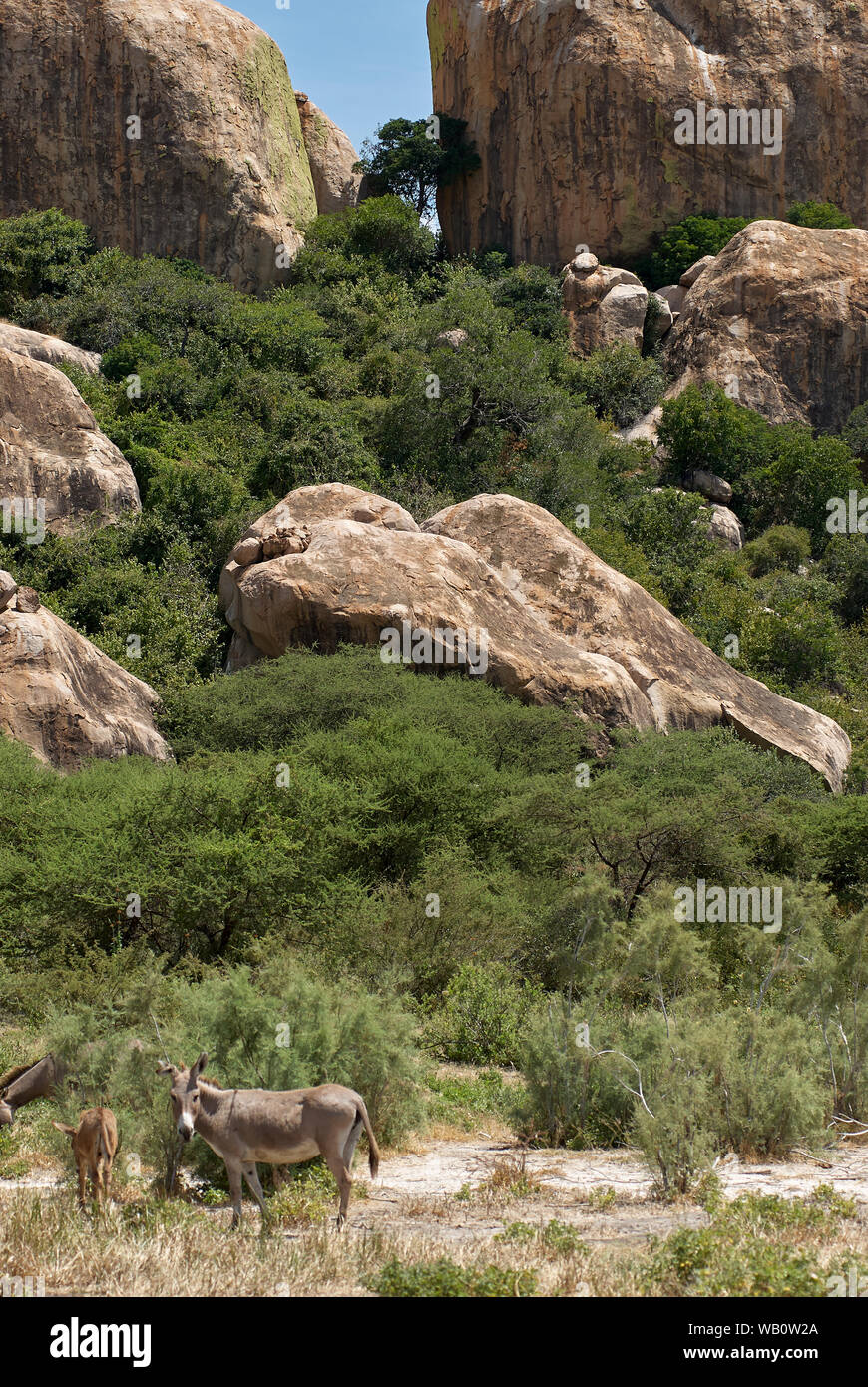 Rock formations near Nala off the Dodoma - Singida road in the Manyara ...