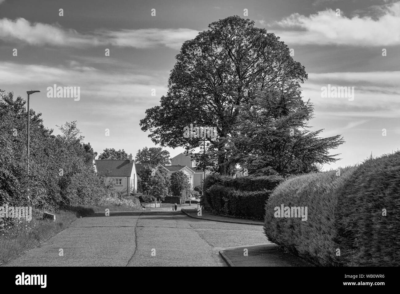 Brisbane Glen Road behind the town of Largs Scotland in Summer Stock