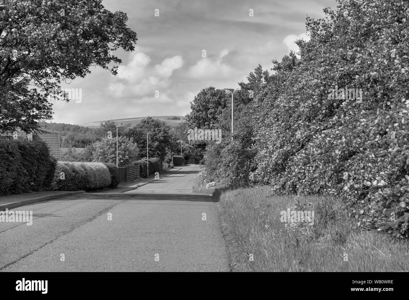 Brisbane Glen Road behind the town of Largs Scotland in Summer Stock