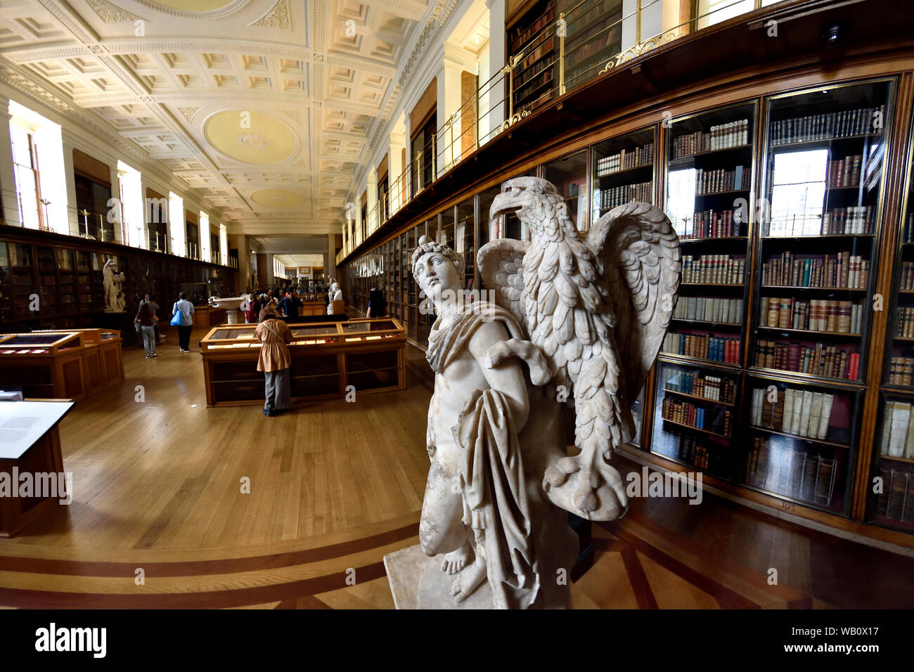 British Museum, Bloomsbury, London, England, UK. Statue of Ganymede (Roman, 2nd century AD) in the Grenville Library Stock Photo