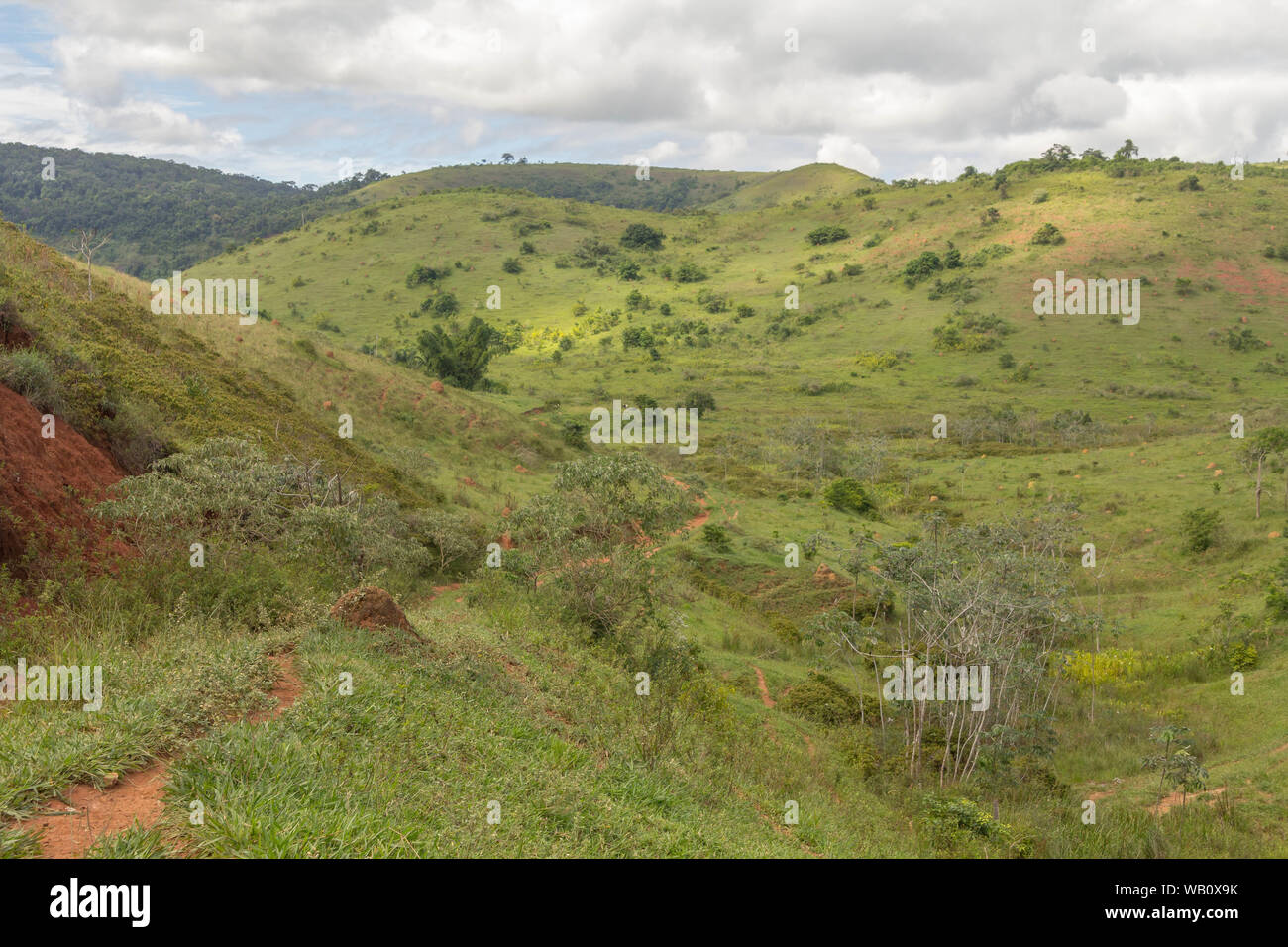 landscape of a farm at Minas Gerais state, Brazil. The soil does not seem cultivated. Stock Photo
