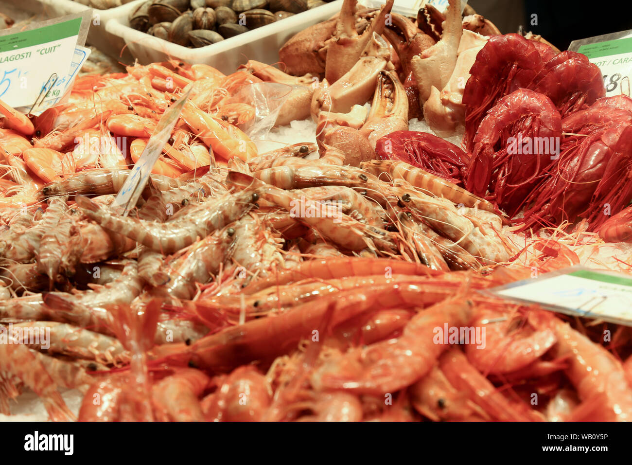 Fresh shellfish on the market desk. Lobsters, langoustine, shrimps, nephrons, prawns Stock Photo