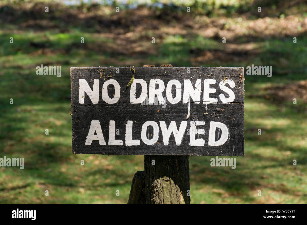 A wooden No Drones Allowed warning sign, lake Naivasha, Kenya Stock Photo