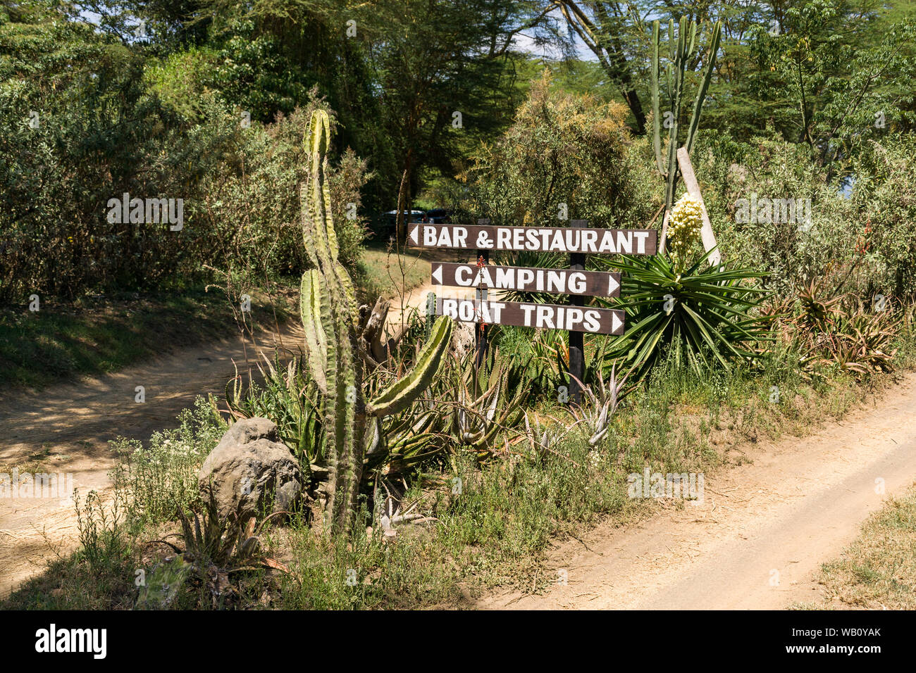 Camp Carnelley's entrance signs with large cactus, lake Naivasha, Kenya Stock Photo