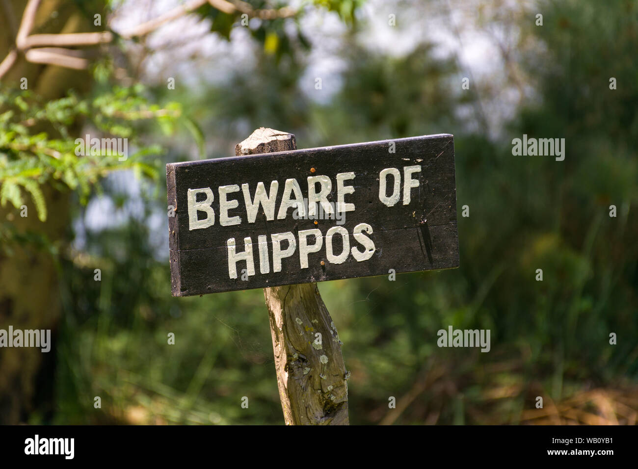 A large wooden sign with Beware of Hippos warning on it, lake Naivasha, Kenya Stock Photo
