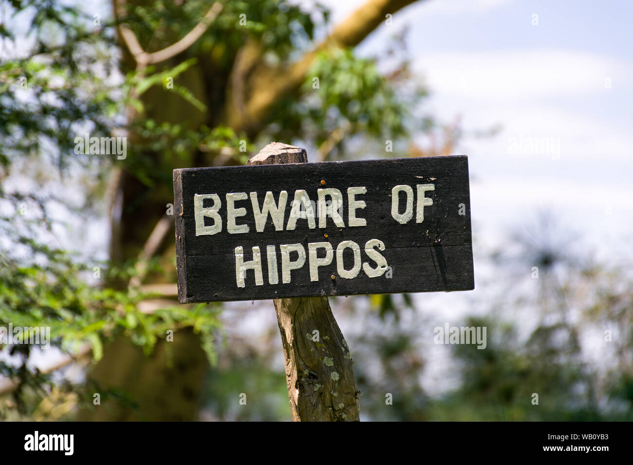 A large wooden sign with Beware of Hippos warning on it, lake Naivasha, Kenya Stock Photo
