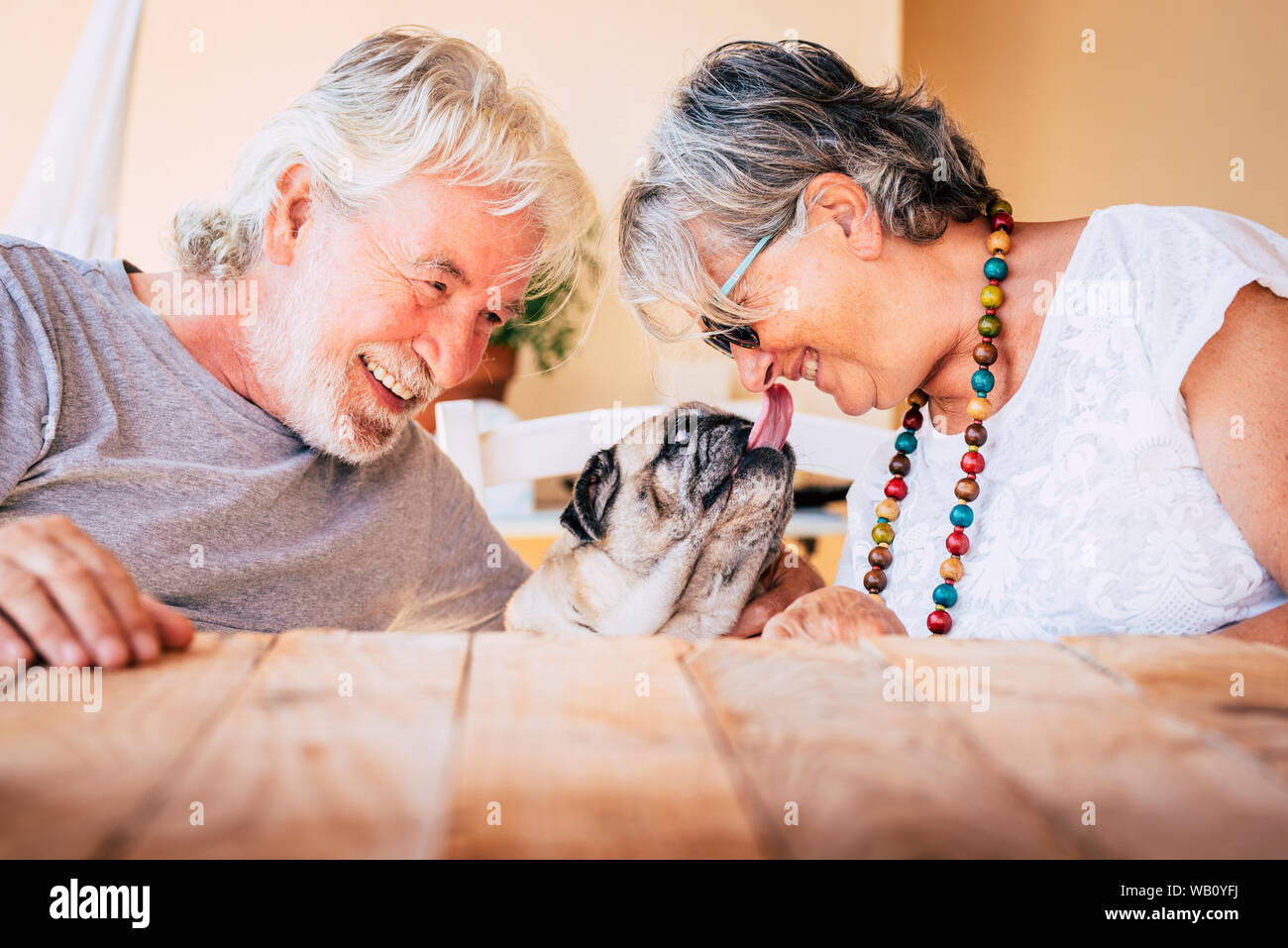 portrait of senior mature caucasian people  couple with funny pet pug dog kissing and having. fun together with love and happiness - concept of animal Stock Photo