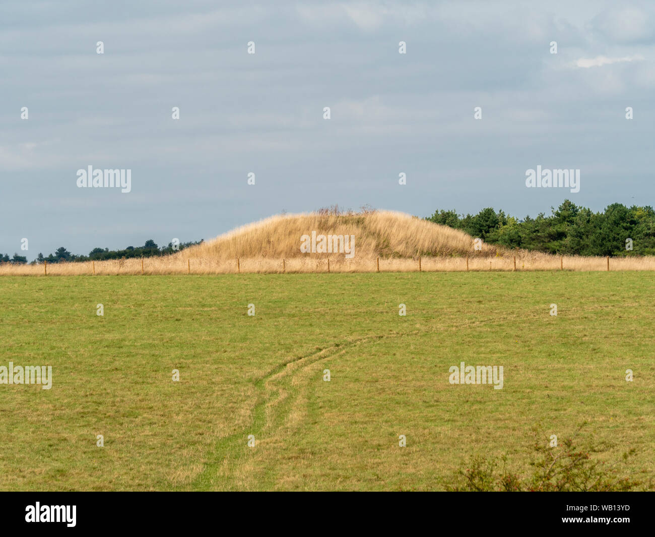 Mound (Barrow). One of the Cursus Barrows, a Neolithic and Bronze Age