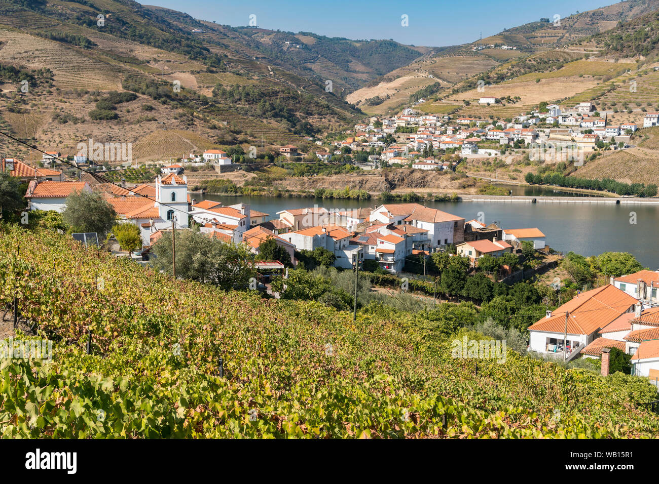 Vinyards above the village of Folgosa on the slopes of the River Douro with Covelinhas across the river. In the Alto Douro wine region, Northern Portu Stock Photo