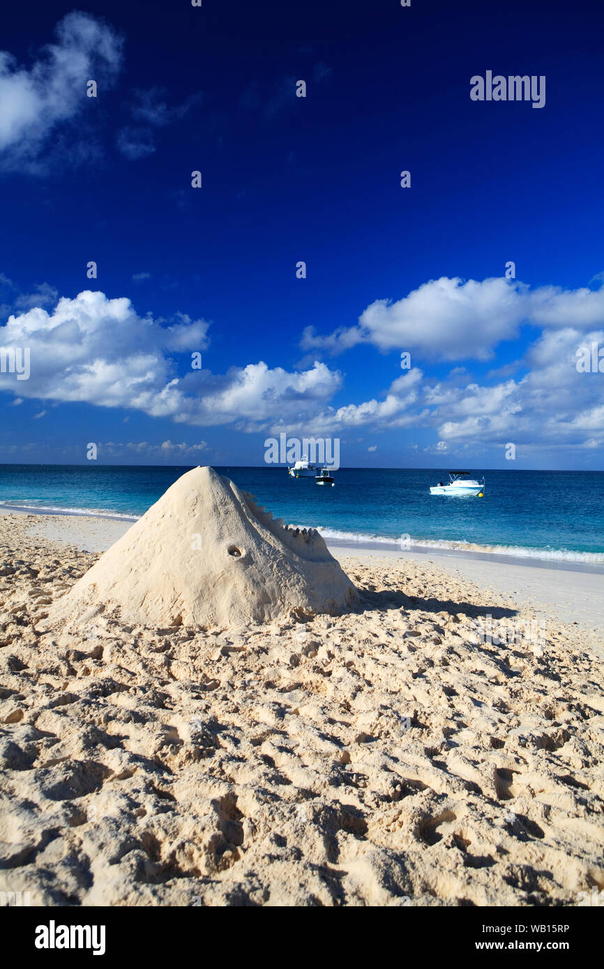 Shark Sand Sculpture on 7 Mile Beach, Grand Cayman Stock Photo