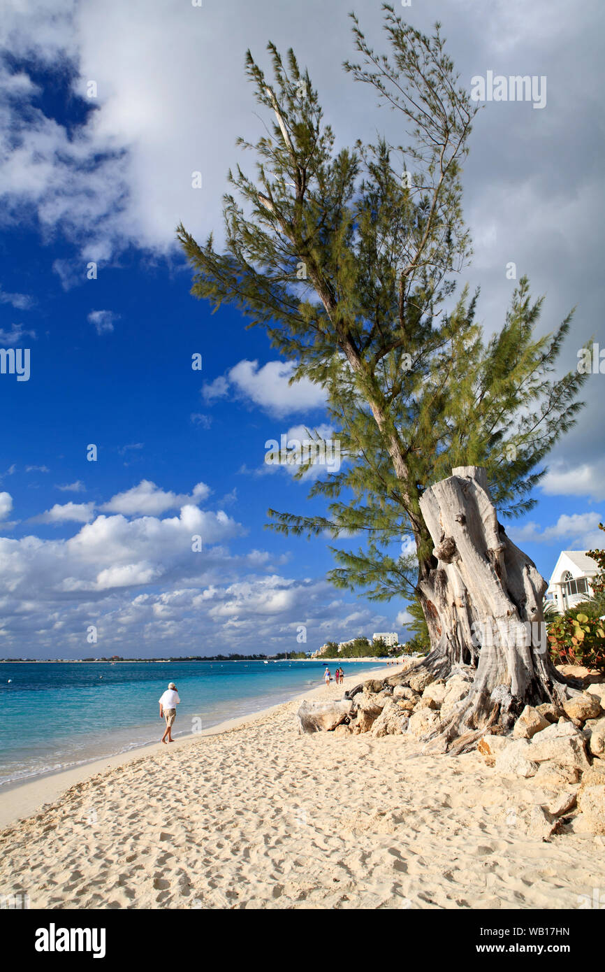 Seven Mile Beach, Grand Cayman, Cayman Islands Stock Photo