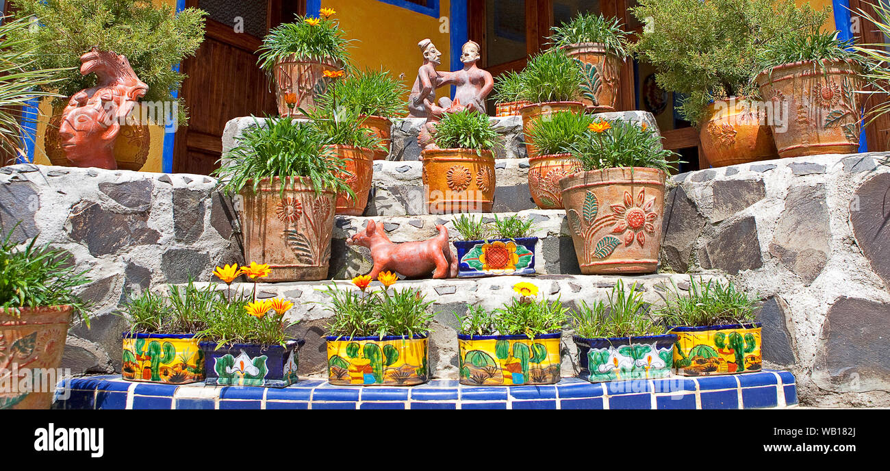 Beautiful Mexican landscaped garden design with plants and ceramics Stock Photo