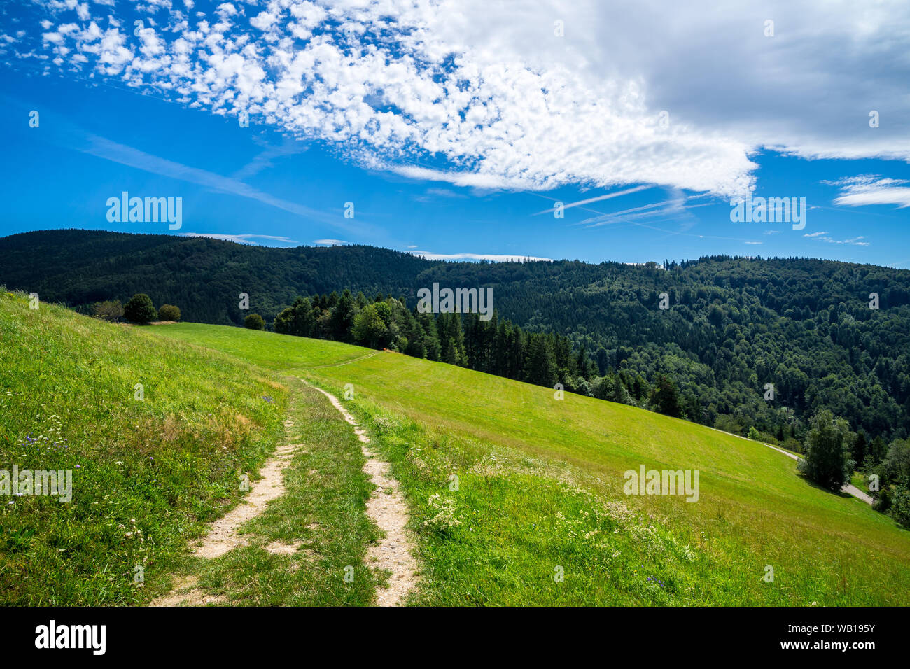 Germany, Breathtaking beautiful natural german nature landscape hiking trail on top of black near schauinsland and st ulrich on hot su Stock Photo -