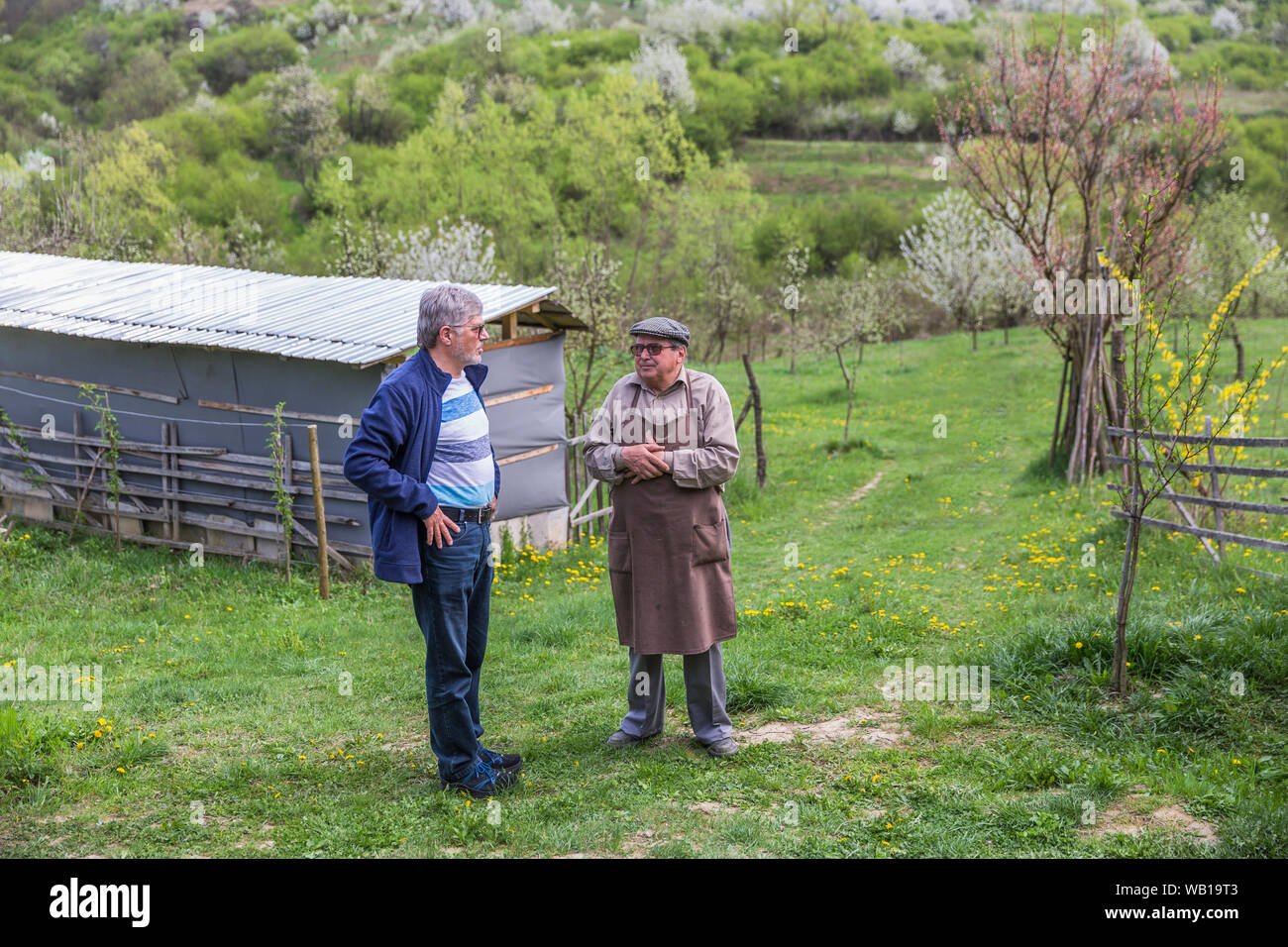 Rumania, Ciresoaia, man speaking with beekeper Stock Photo