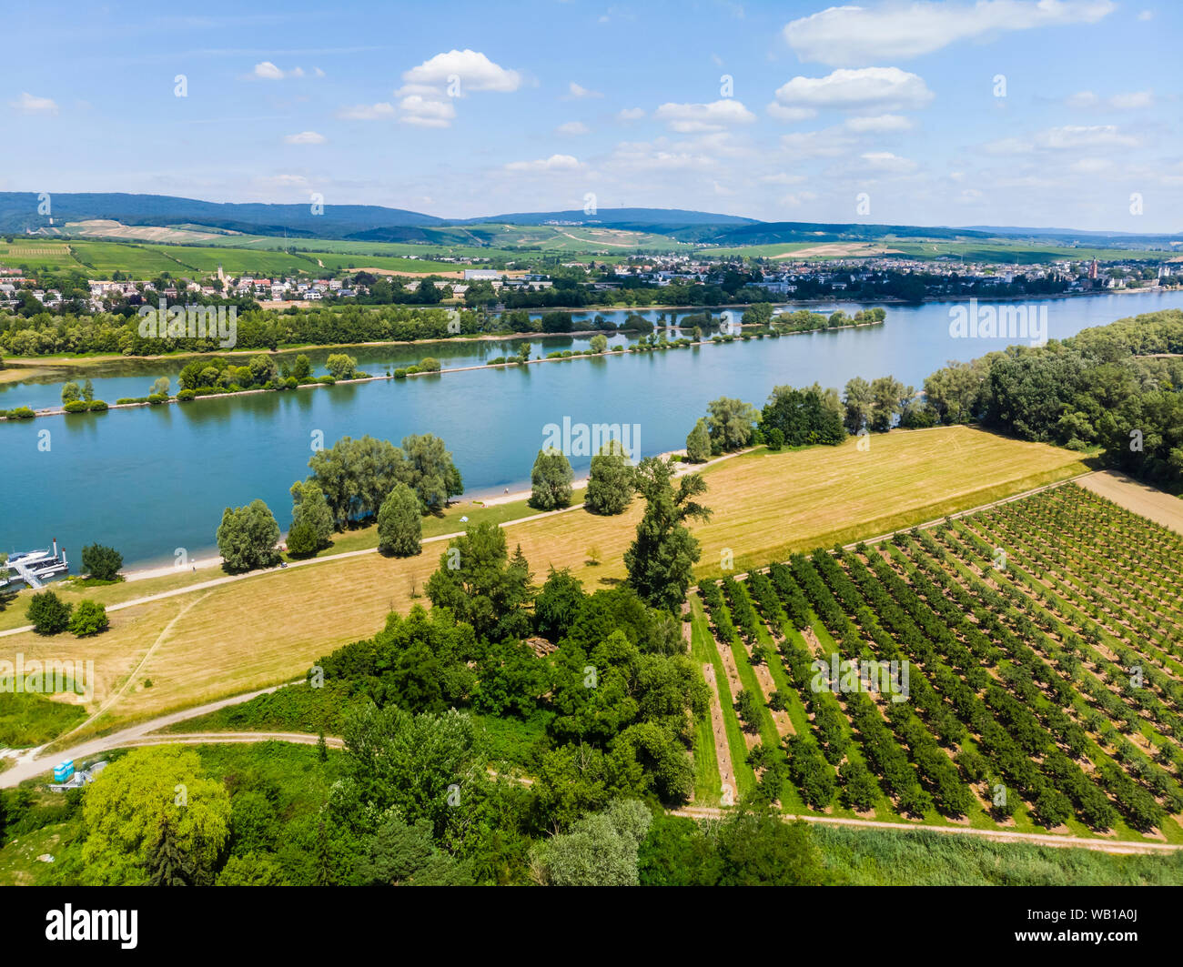 Germany, Rhineland-Palatinate, Aerial view of Heidesheim am Rhein, Rhine river and Eltville Stock Photo