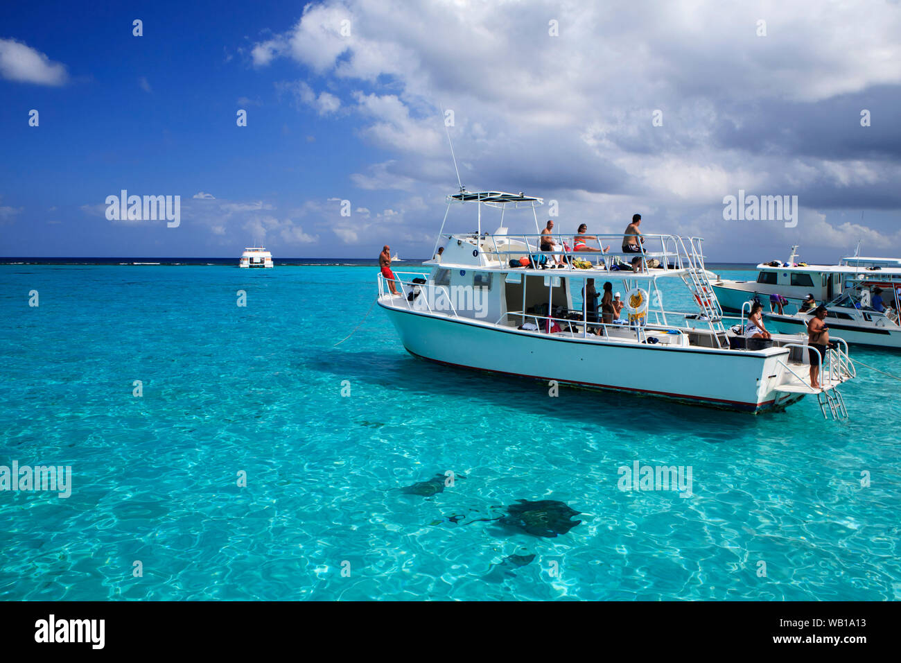 Tourists enjoy a day out with the stingrays at Stingray City in the Cayman Islands Stock Photo