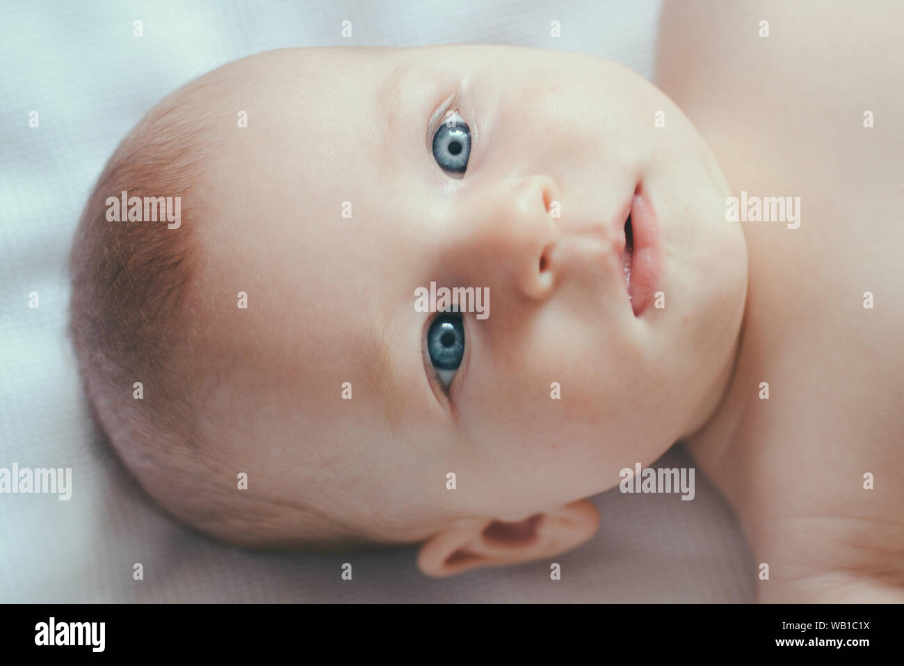 Adorable features. Newborn baby girl or boy. Newborn baby with soft