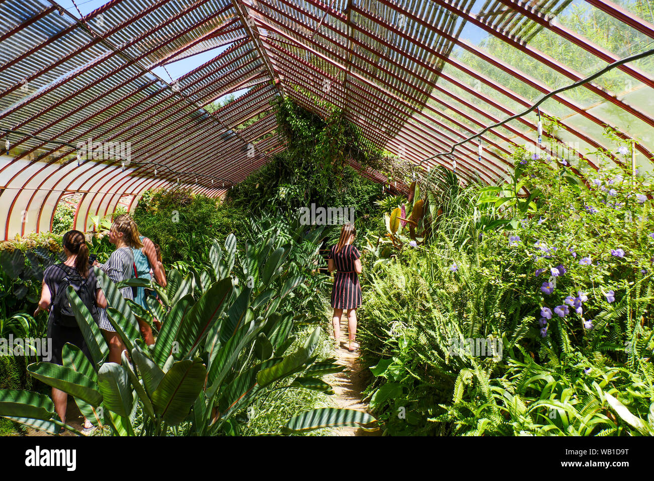 Greenhouse, La Bambouseraie - Bamboo park, Prafrance, Anduze, Gard, France  Stock Photo - Alamy