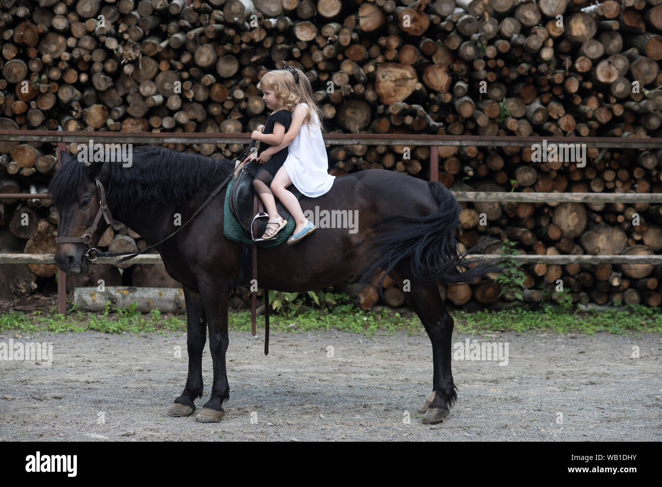 Girls ride on horse on summer day. Equine therapy, recreation concept.  Sport, activity, entertainment. Children sit in rider saddle on animal back.  Fr Stock Photo - Alamy