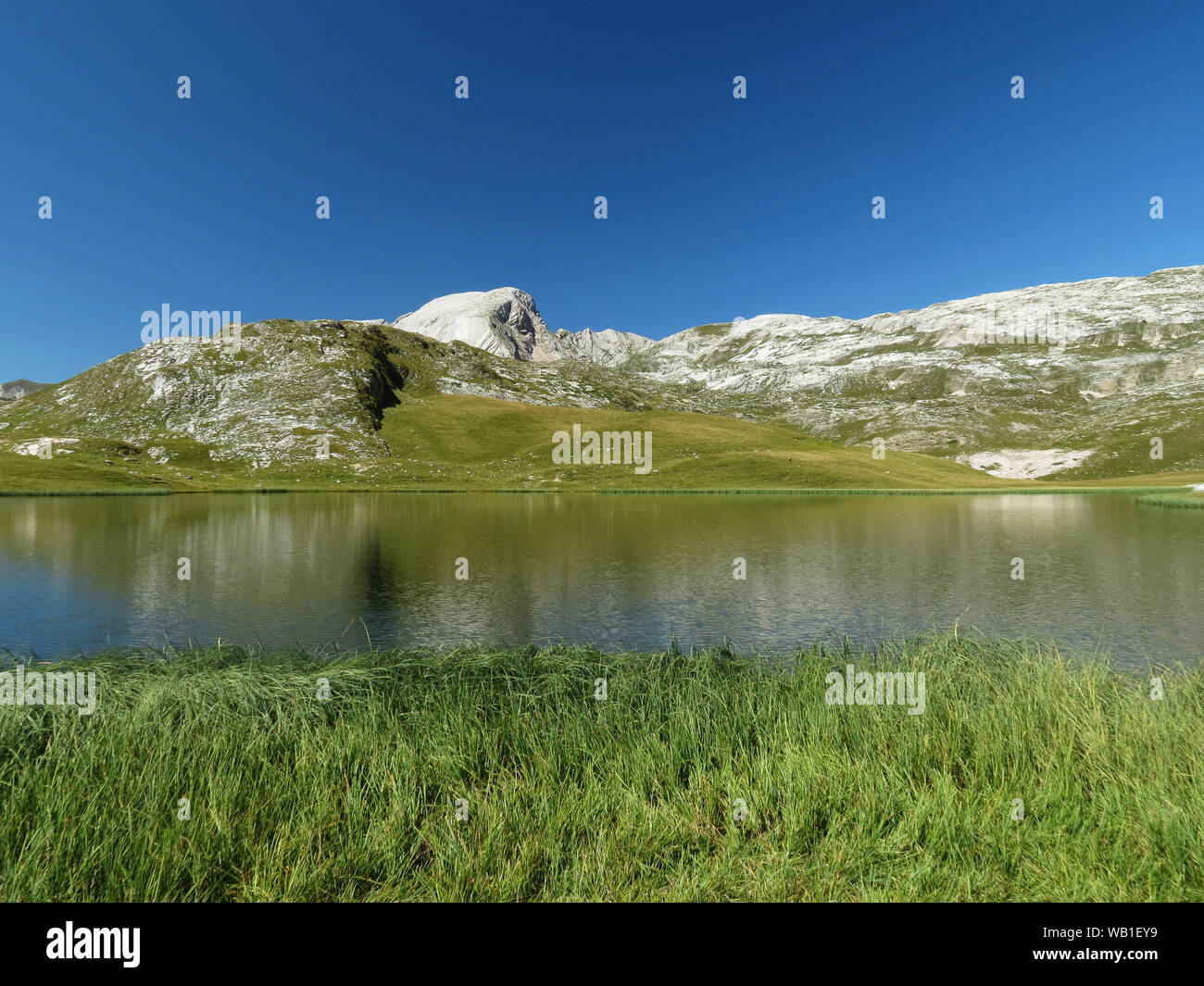 Fosses Lake. Laghi di Fosses. Alpe di Fosses. Green alpine grassland. The Dolomiti mountains. Italian Alps. Europe. Stock Photo