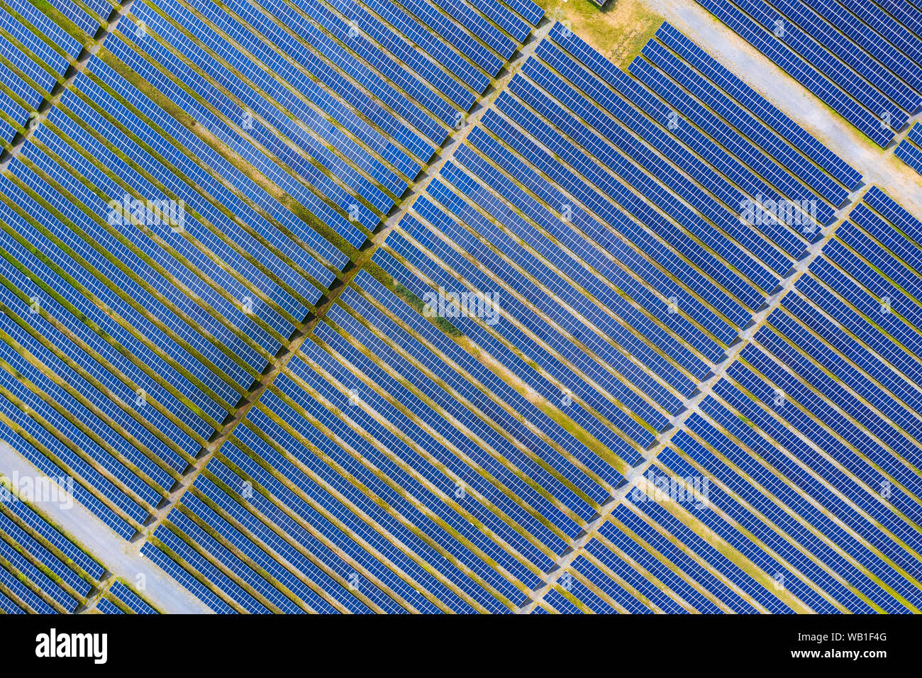 Solar energy farm producing clean renewable energy from the sun . Thousands of solar panels, Photovoltaic solar cells , huge solar farm. Stock Photo