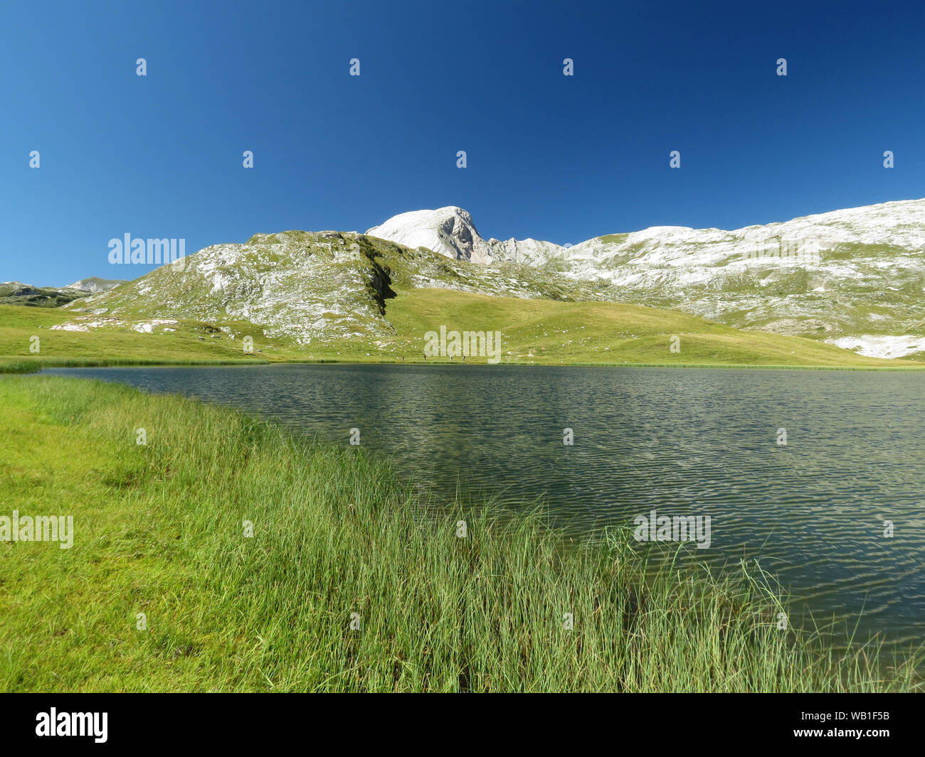 Fosses Lake. Laghi di Fosses. Alpe di Fosses. Green alpine grassland. The Dolomiti mountains. Italian Alps. Europe. Stock Photo