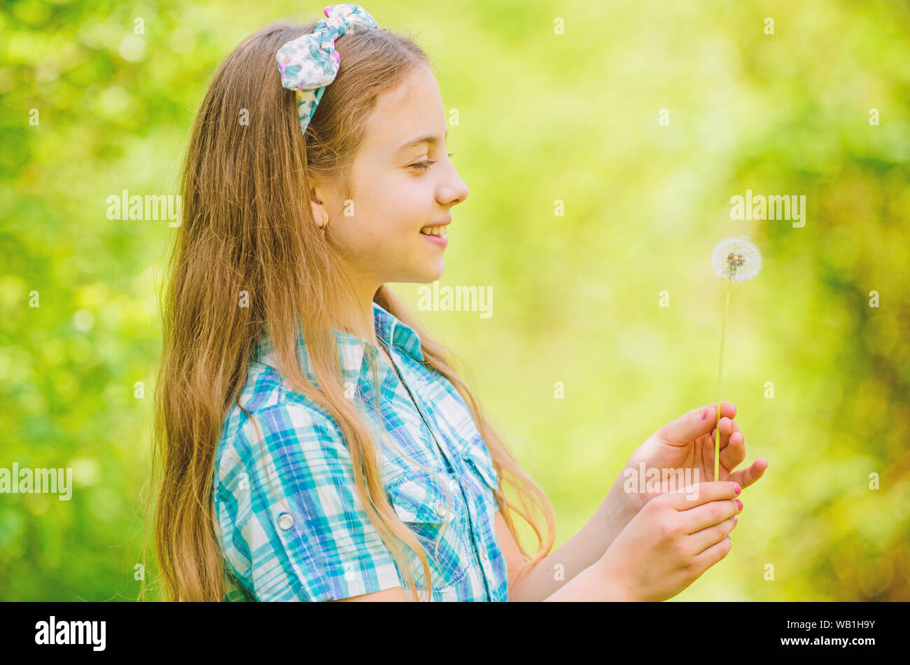 Dandelion full symbolism. Summertime fun. Folklore beliefs about