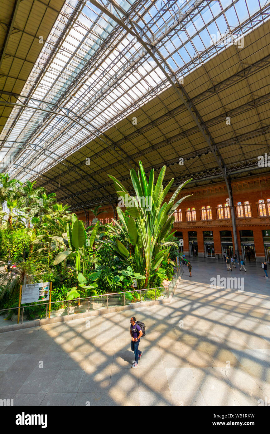 Atocha Railway Station, Madrid, Spain, South West Europe Stock Photo