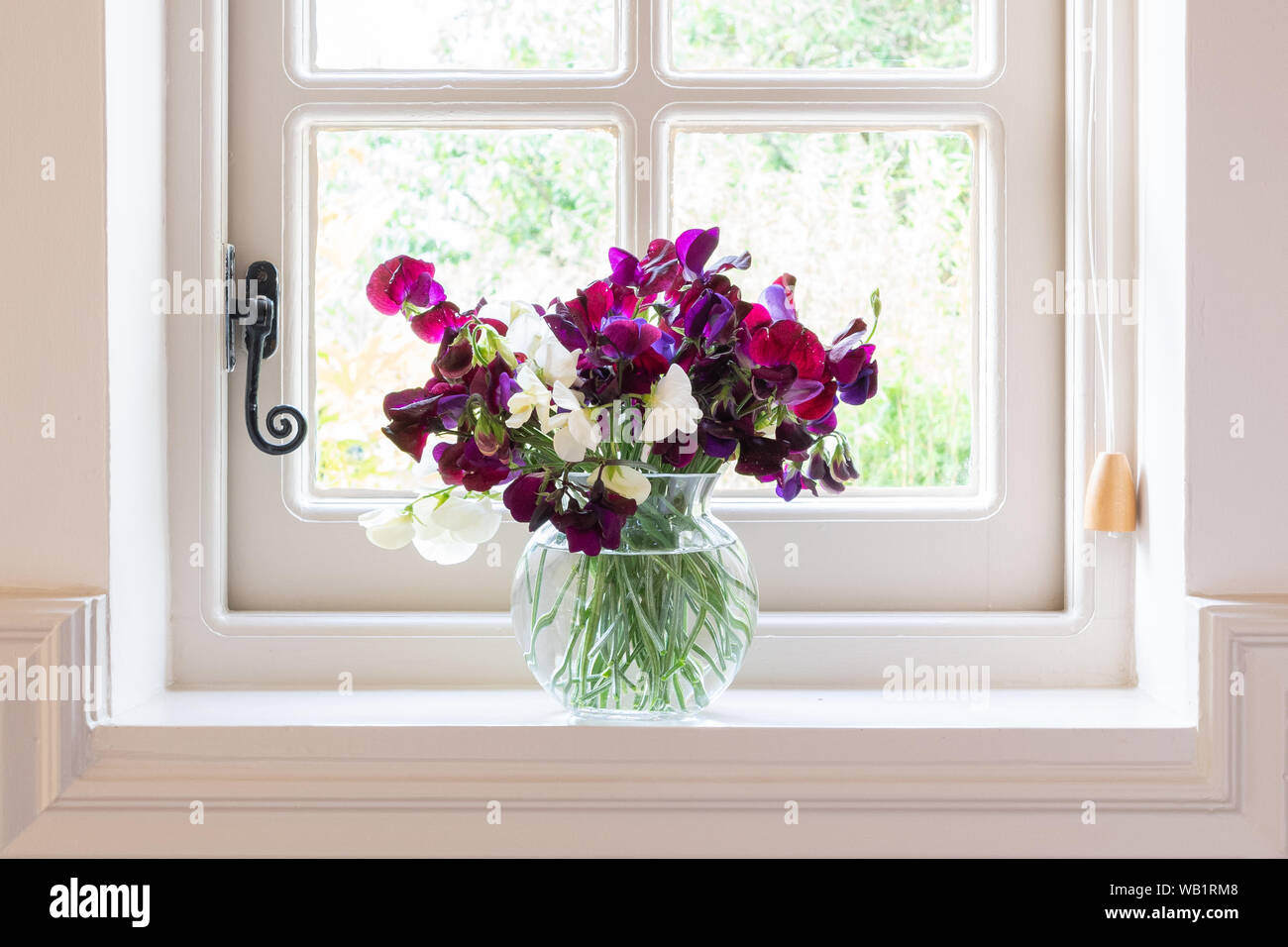 vase of sweet pea flowers on kitchen windowsill Stock Photo