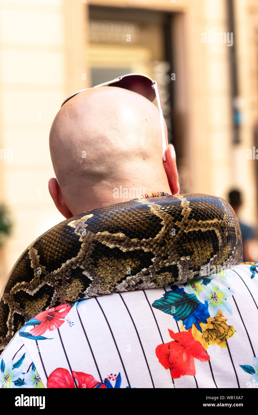 Person snake wrapped hi-res stock photography and images - Alamy