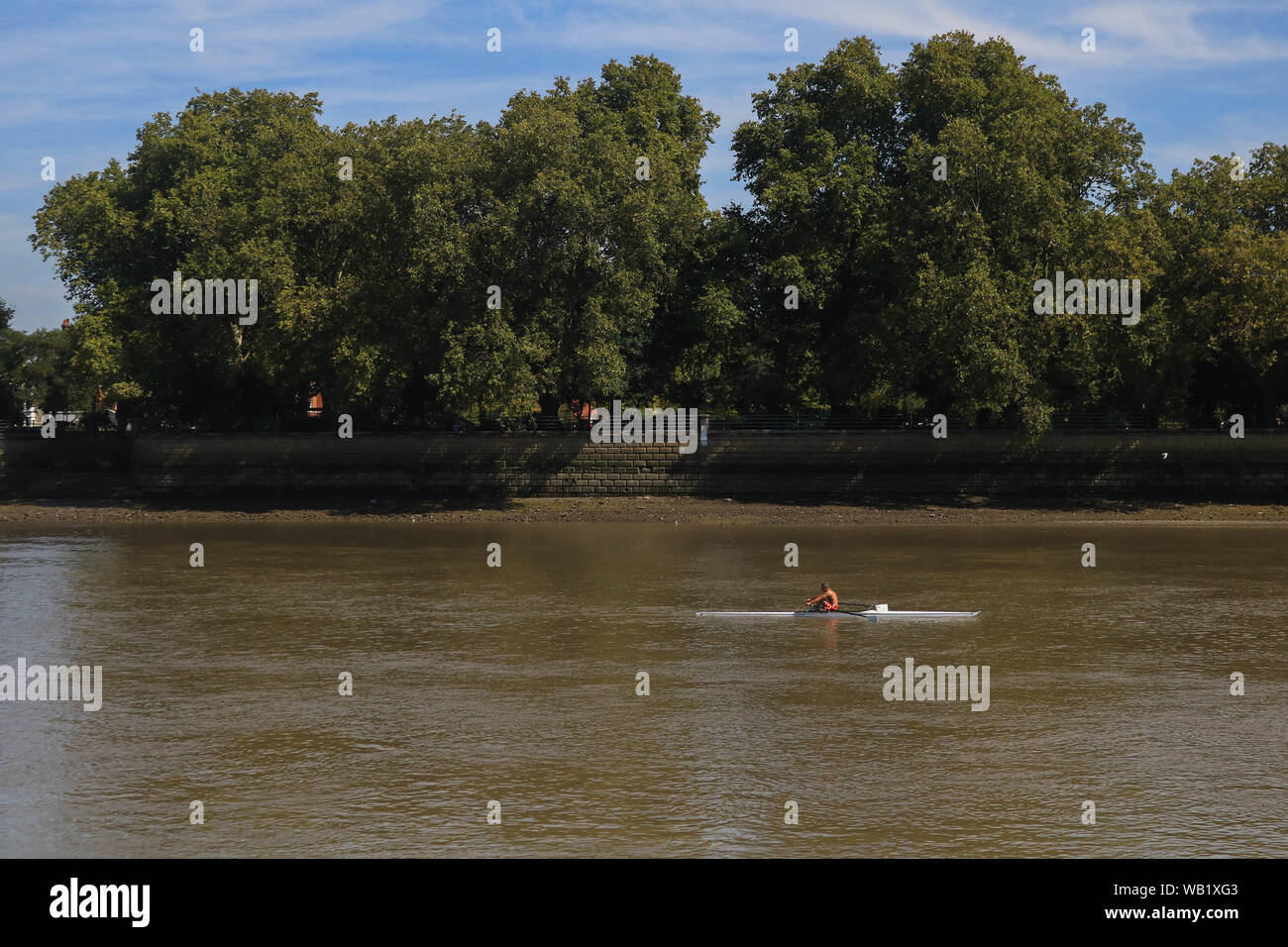 London, UK. 23rd Aug, 2019. A lone rower on the River Thames close to Putney Southwest London on a warm sunny day. Credit: Amer Ghazzal/SOPA Images/ZUMA Wire/Alamy Live News Stock Photo