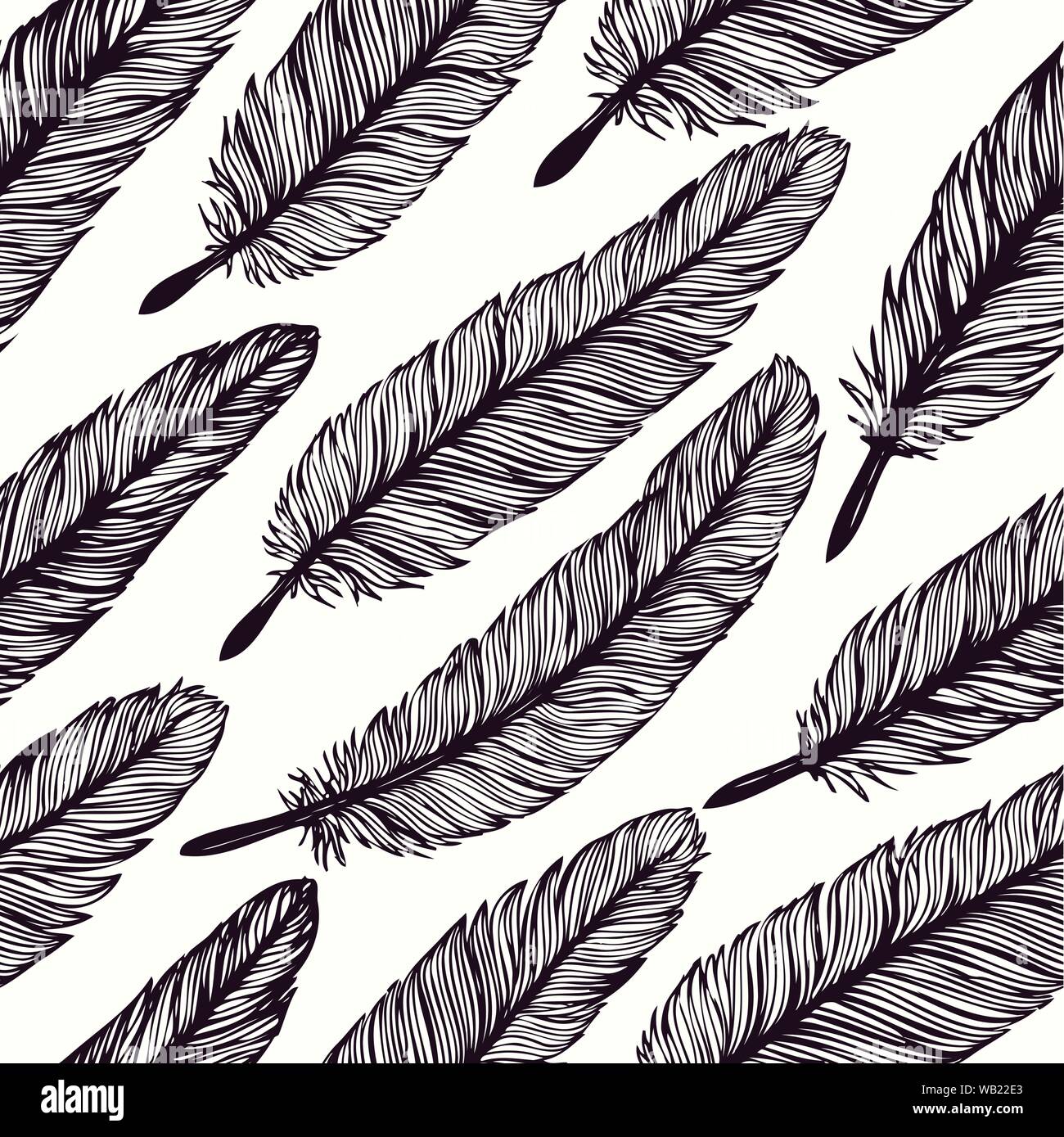 vintage feather background