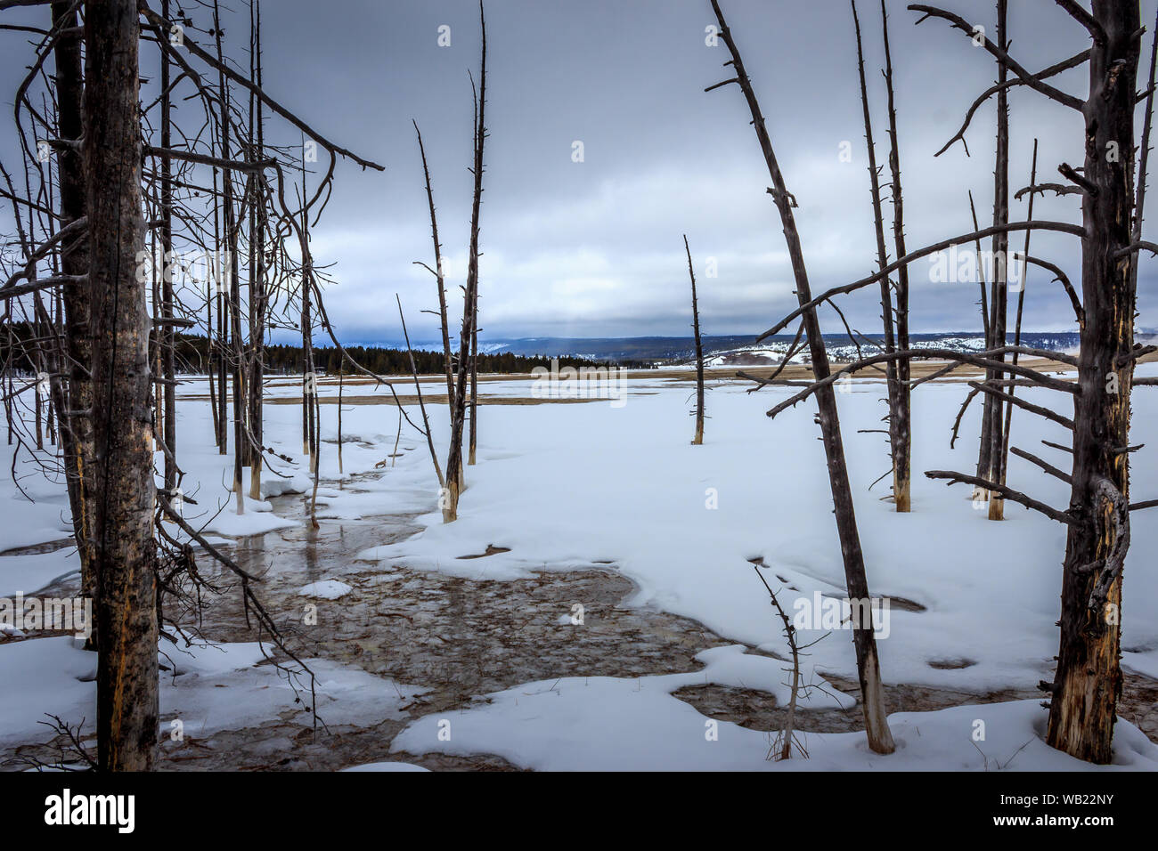 Usa west yellowstone winter montana hires stock photography and images