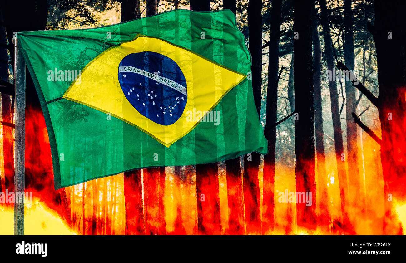 Raging pinewood forest fire with Brazilian flag on foreground - Amazon burning concept Stock Photo