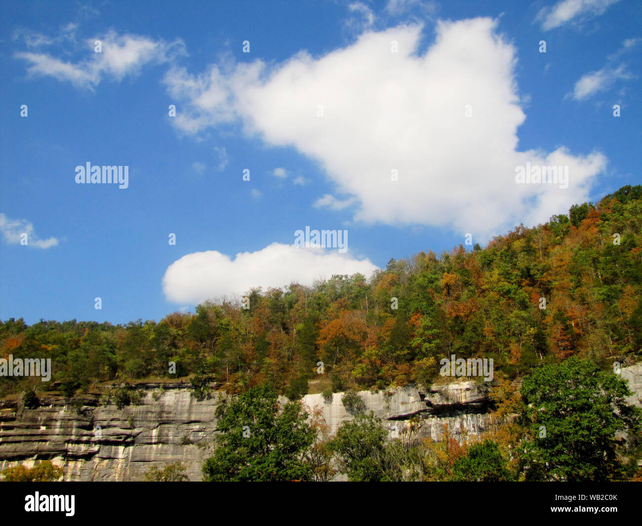 Bluff and trees near Ponca, AR Stock Photo