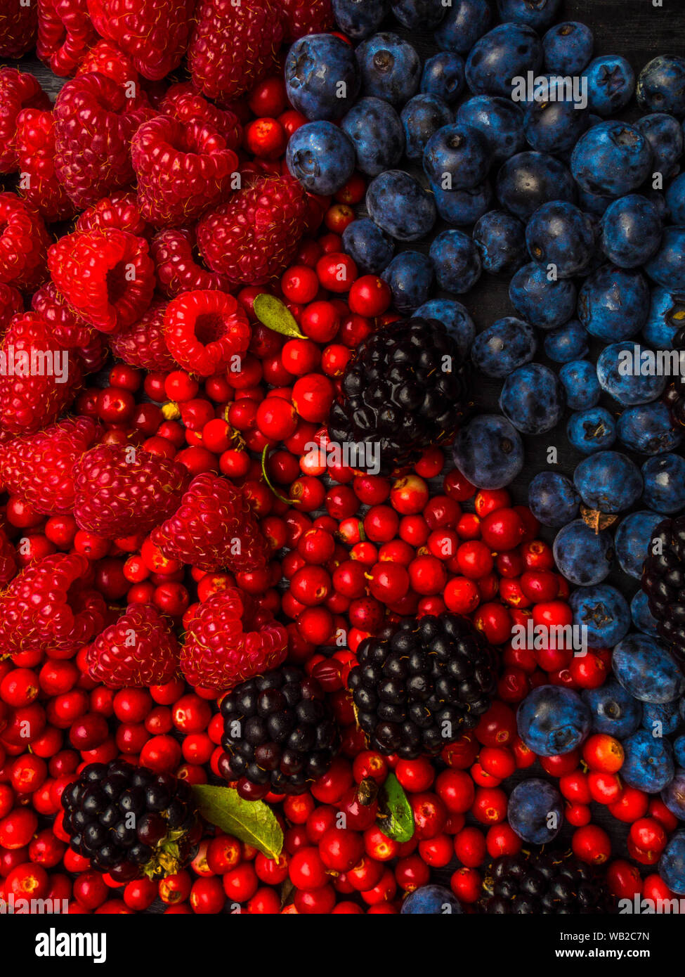 super antioxidants. superfood. mix of fresh berries, rich with
