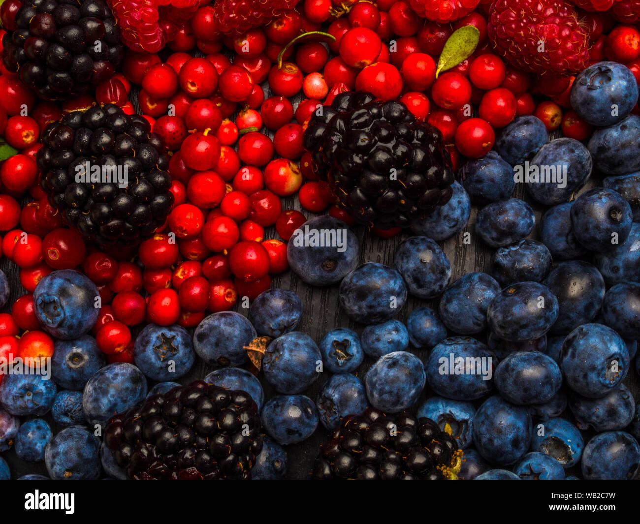 super antioxidants. superfood. mix of fresh berries, rich with