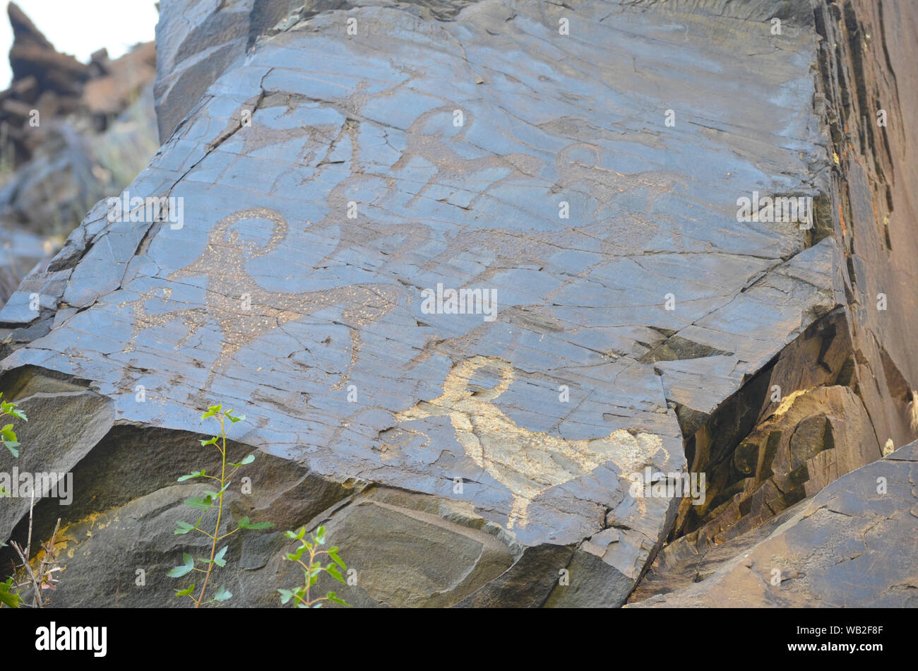 Petroglyphs near the village of Uhum in the Nuratau mountains, Central Uzbekistan Stock Photo