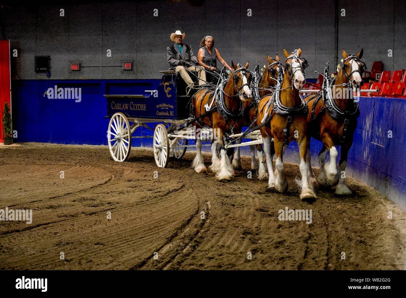 Horse pulling wagon hires stock photography and images Alamy
